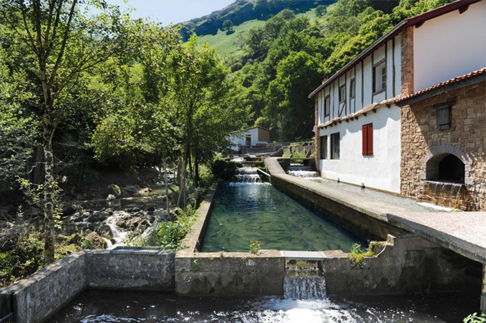 Ferme De Banka Elevage Truite Pays Basque